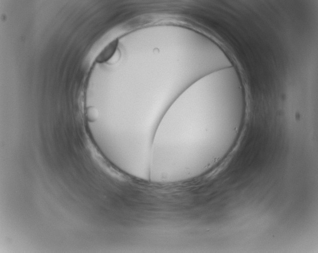 X0000051910814200507082028