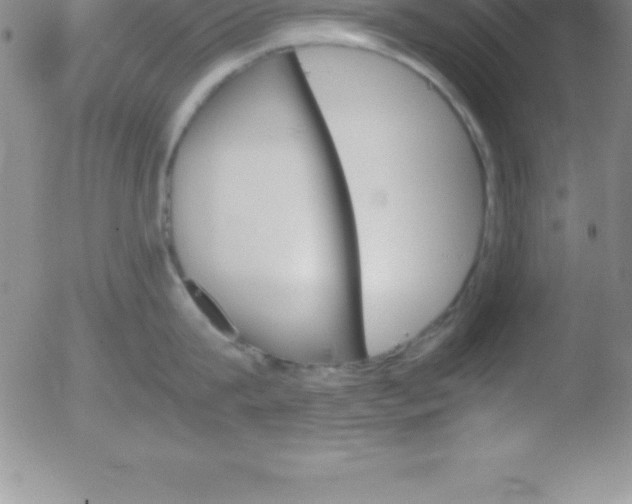 X0000051910815200507082028