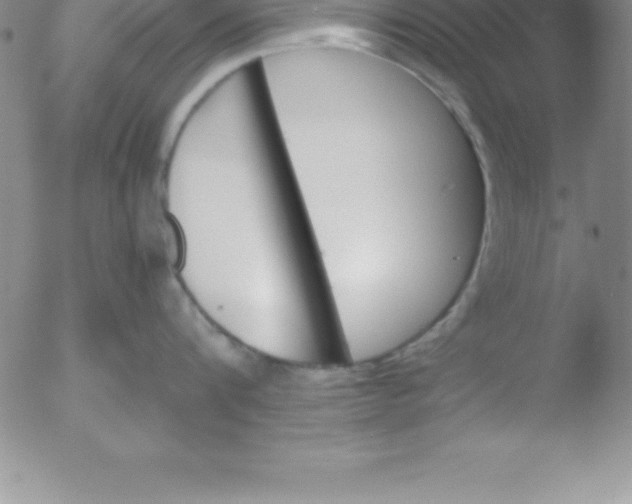 X0000051910816200507082028