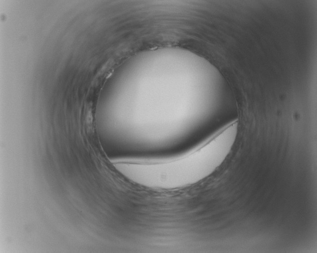 X0000051910818200507082027