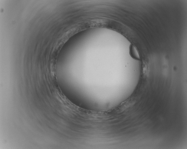 X0000051910819200507082027