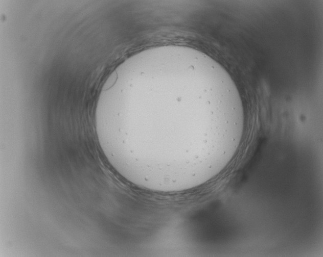 X0000051910820200507082027