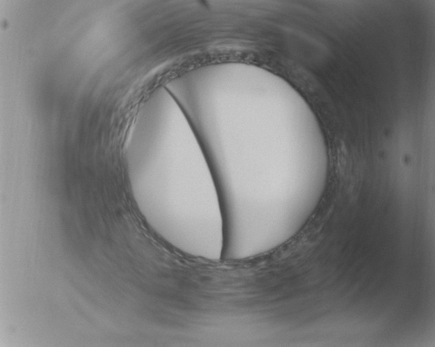 X0000051910821200507082027