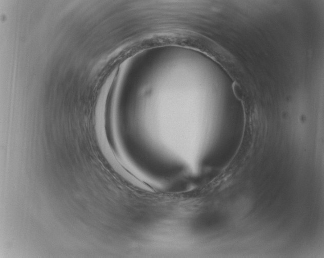 X0000051910822200507082027