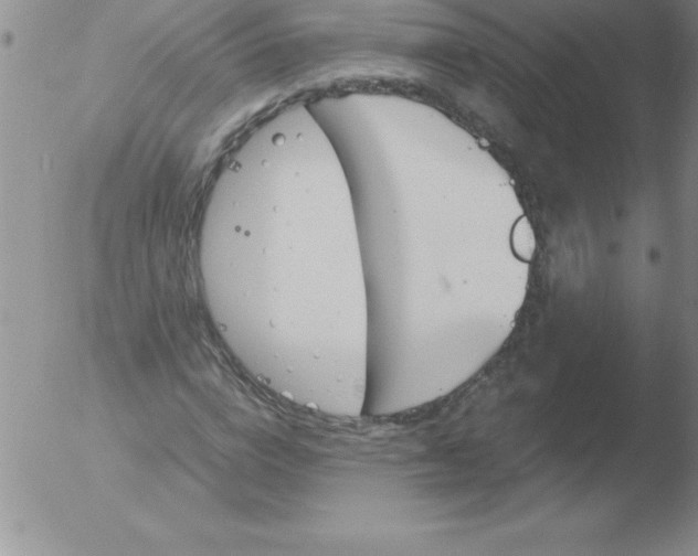 X0000051910824200507082027