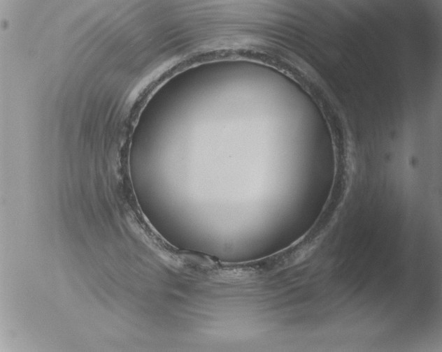 X0000051910826200507082027