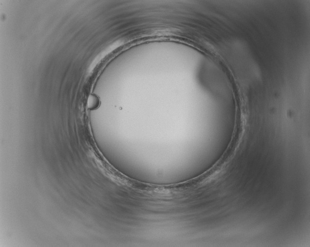 X0000051910827200507082027