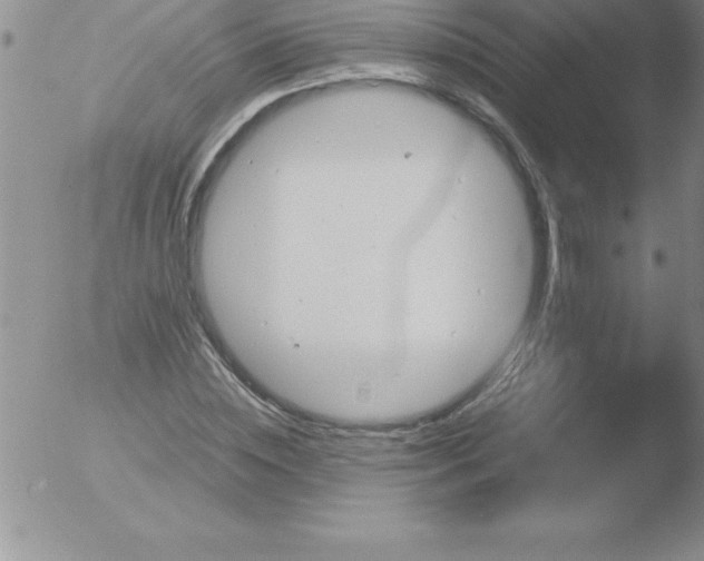 X0000051910828200507082027