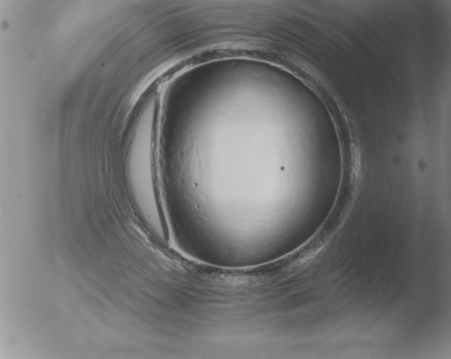 X0000051910829200507082027