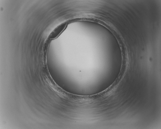 X0000051910830200507082027