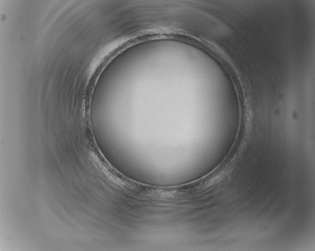 X0000051910831200507082027