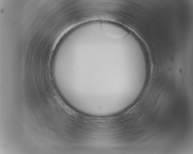 X0000051910832200507082027