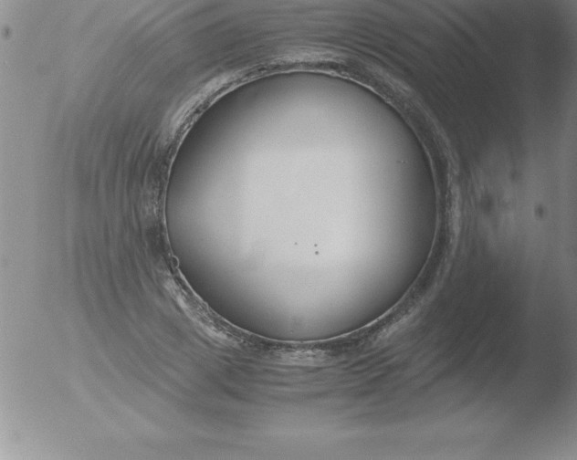 X0000051910833200507082027