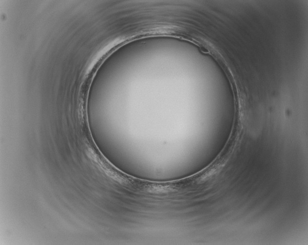 X0000051910835200507082027