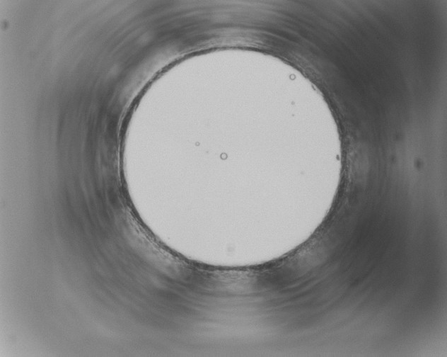 X0000051910836200507082027