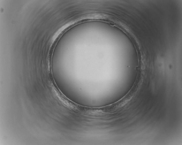 X0000051910837200507082027