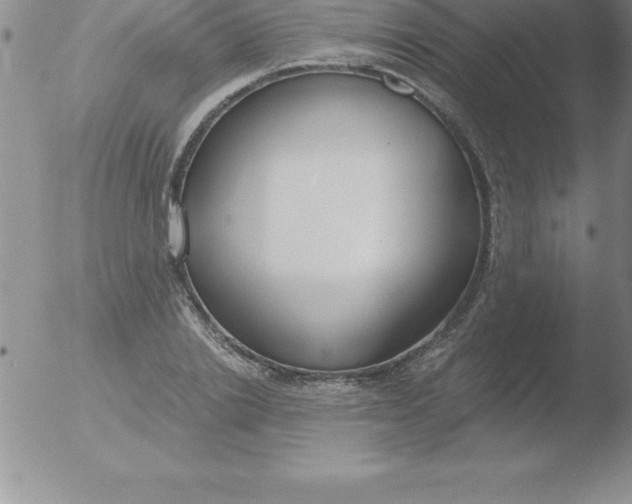 X0000051910838200507082027