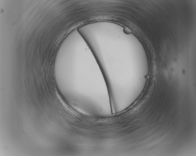 X0000051910841200507082027