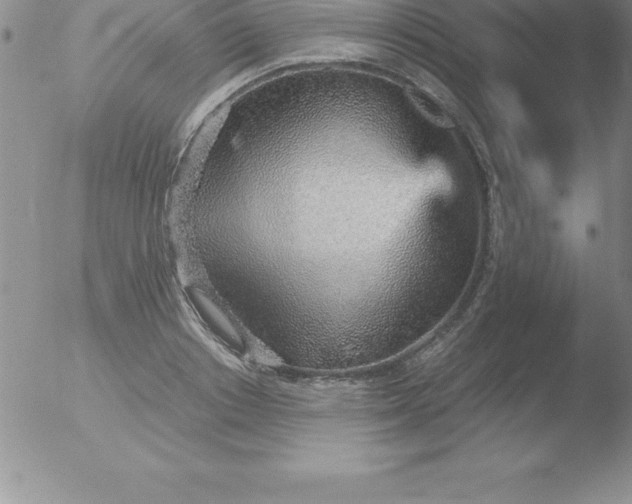 X0000051910842200507082027