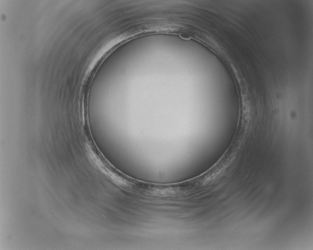 X0000051910843200507082027