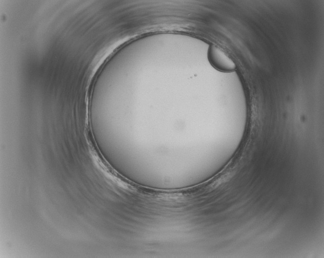 X0000051910844200507082027