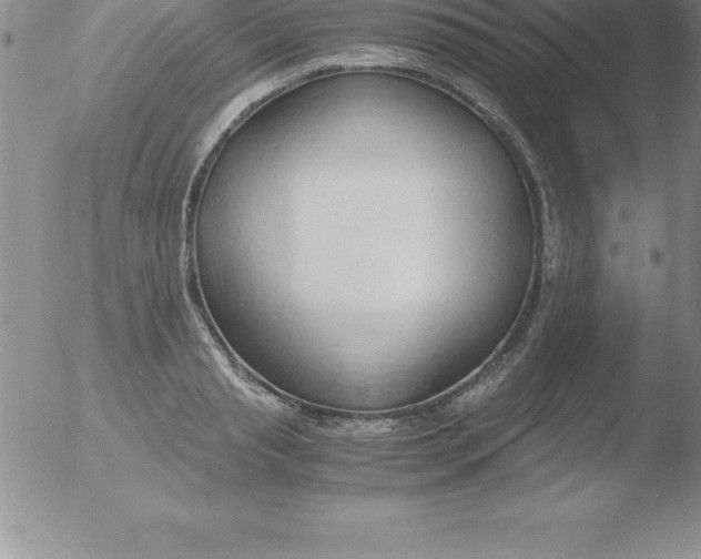 X0000051910845200507082027