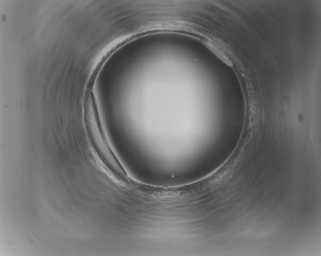 X0000051910846200507082027