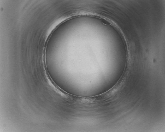 X0000051910847200507082027