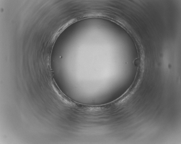 X0000051910849200507082027