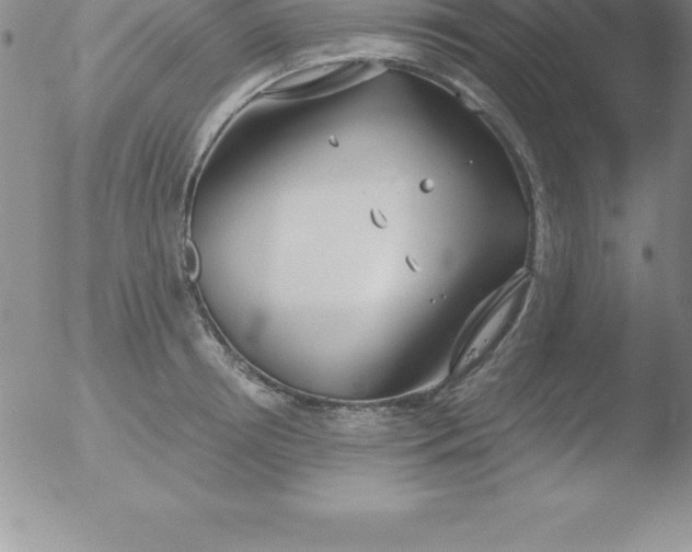 X0000051910850200507082027