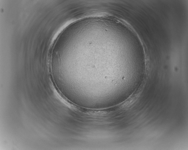 X0000051910851200507082027