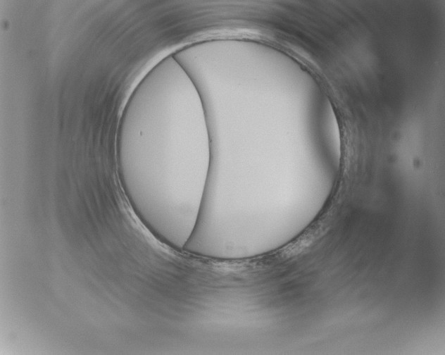 X0000051910852200507082028