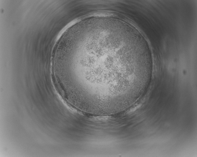 X0000051910853200507082028