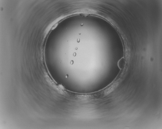 X0000051910854200507082028