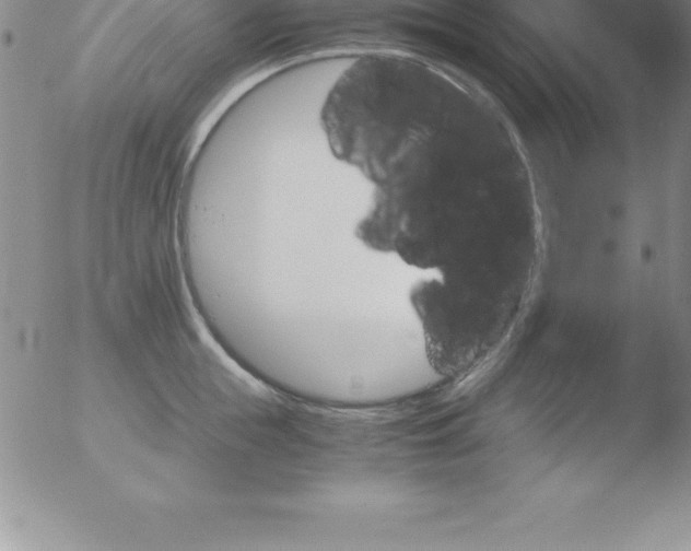 X0000051910855200507082028