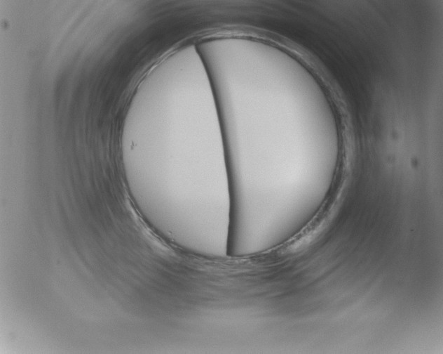 X0000051910857200507082028