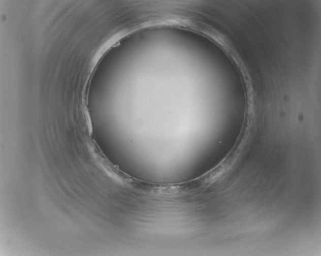 X0000051910858200507082028