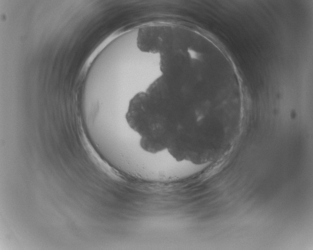 X0000051910859200507082028