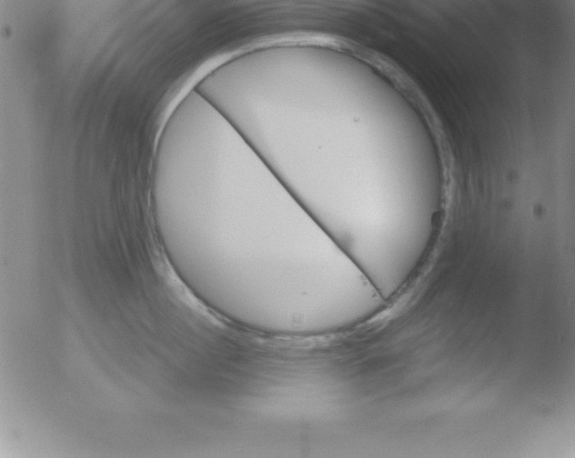 X0000051910860200507082028