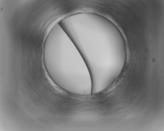 X0000051910861200507082028