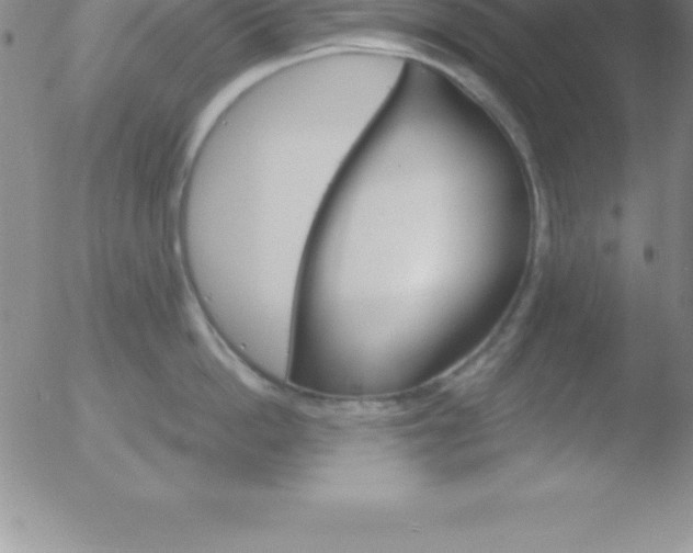 X0000051910862200507082028