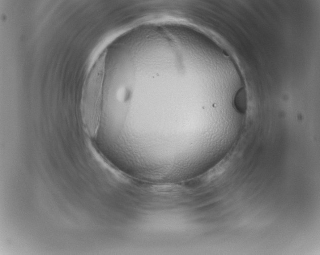 X0000051910863200507082028