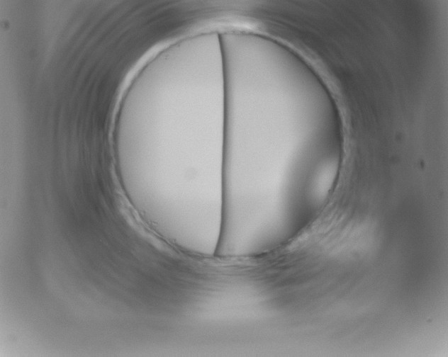 X0000051910864200507082028