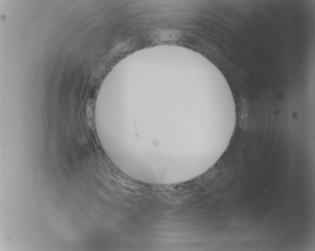 X0000051910866200507082027