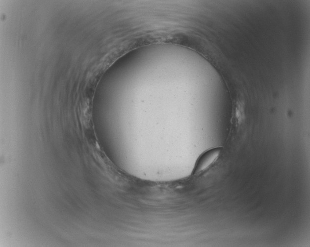 X0000051910867200507082027