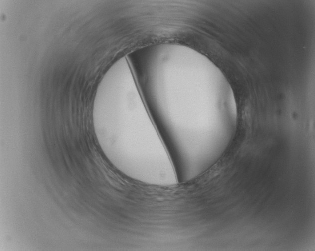 X0000051910868200507082027