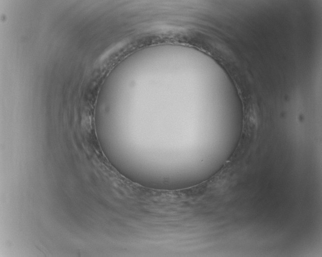 X0000051910869200507082027