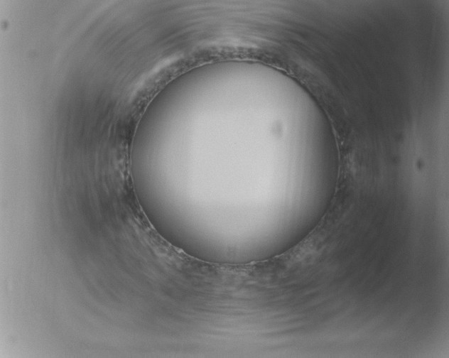 X0000051910870200507082027