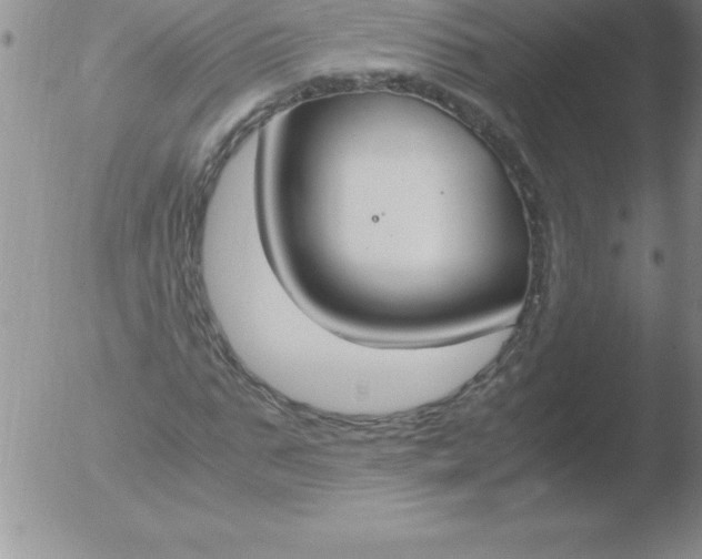 X0000051910871200507082027