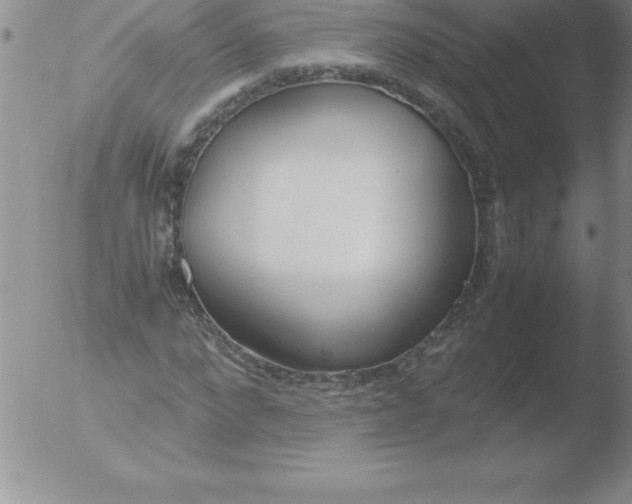 X0000051910872200507082027